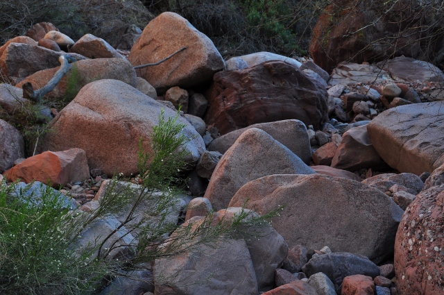 Cottonwood Canyon Trail 